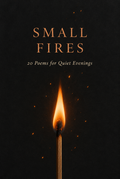 Small Fires ebook cover